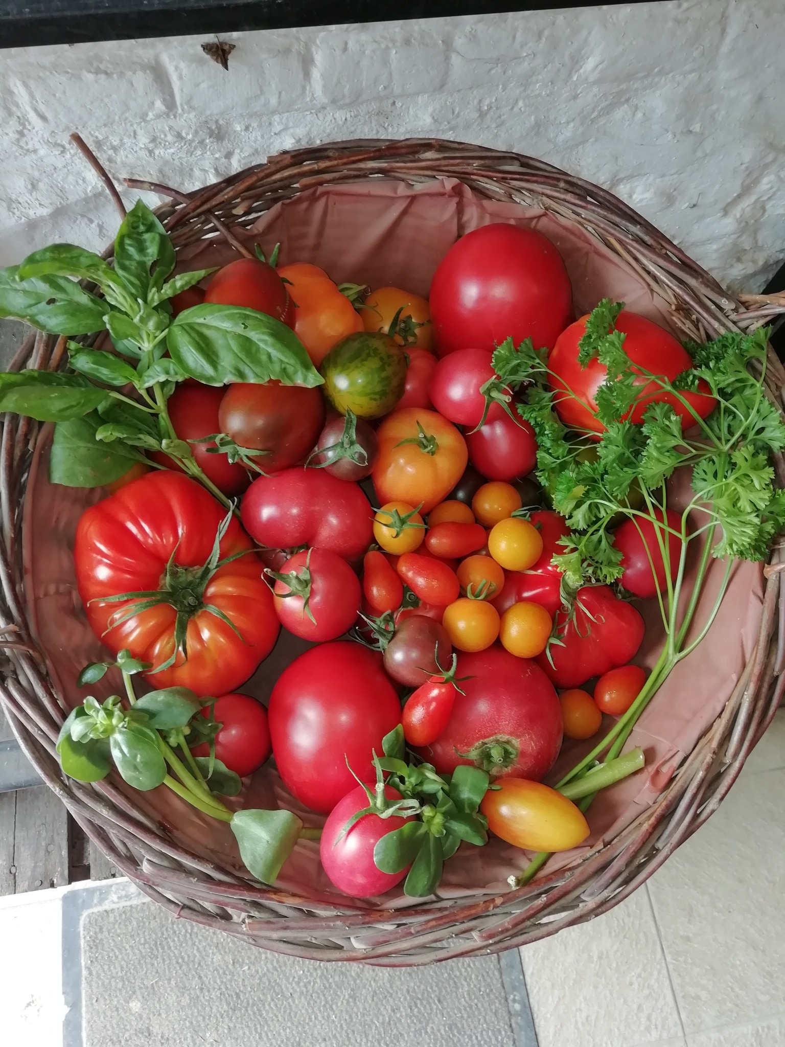 Légumes du Verger bio d'Ohain pour L'Oliver Twist